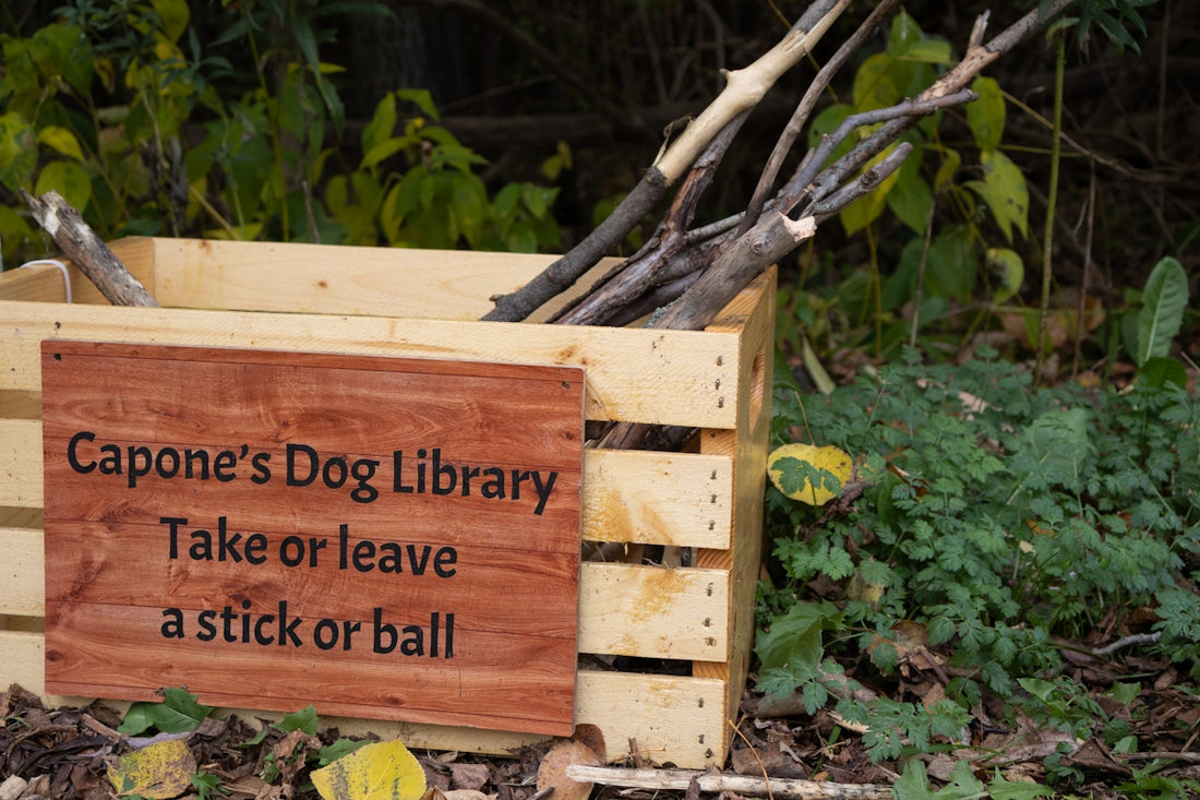 Wooden crate with sticks for dogs