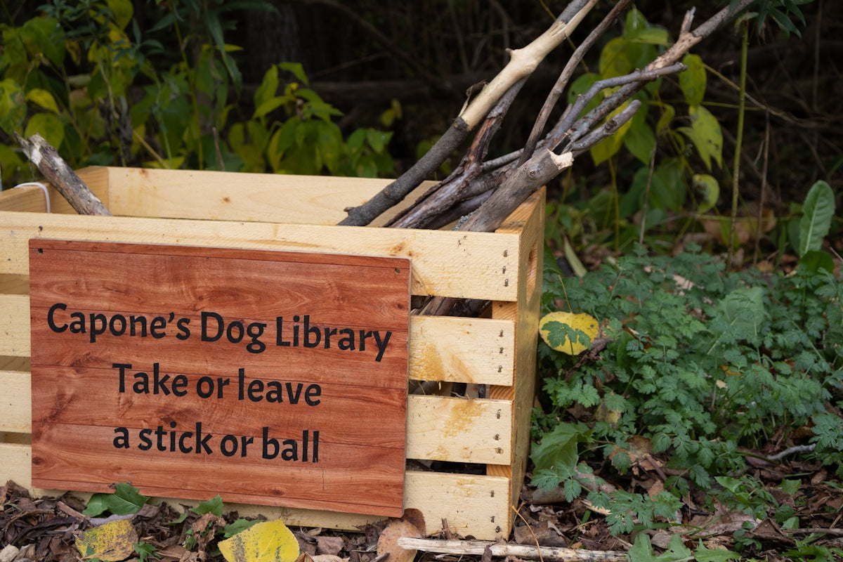 Wooden crate with sticks for dogs